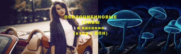 первитин Богородск