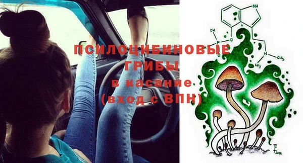 2c-b Богородицк