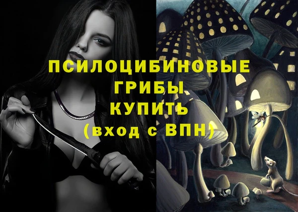 эйфоретик Богданович