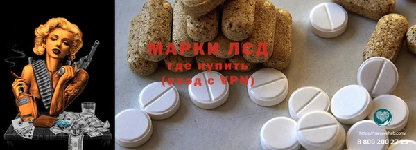 эйфоретик Богданович