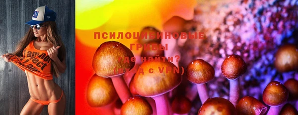 эйфоретик Богданович