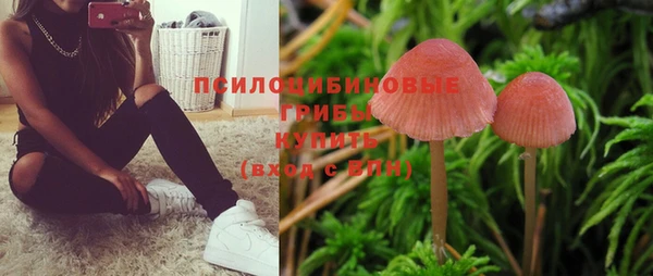 первитин Богородск